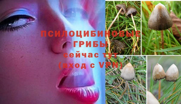 тгк Верхний Тагил