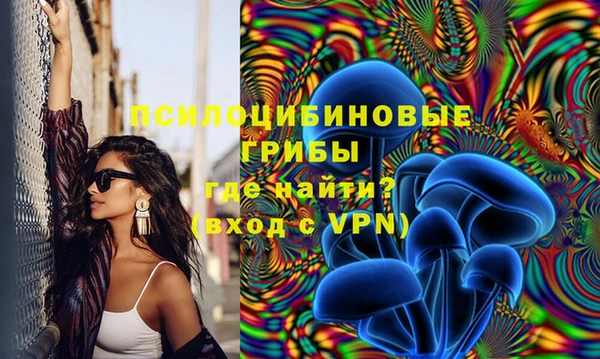 прущие грибы Верхнеуральск