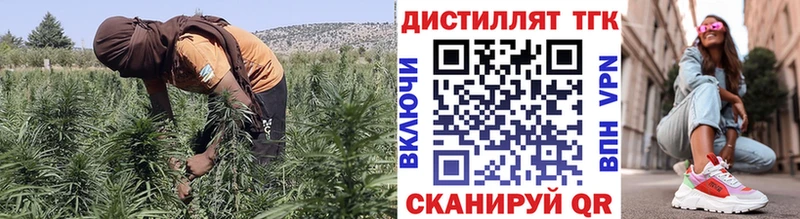 Купить  Зуевка  Дистиллят ТГК гашишное масло 